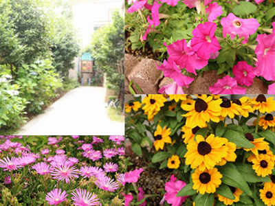 /cms_upload/facility/6/info_amor_flower.jpg