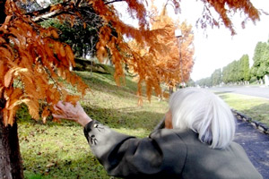 紅葉ドライブ