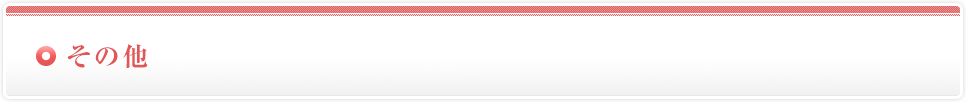 その他